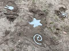 5년치 밀린 일기