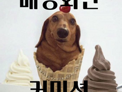 뽈록SD 배경화면 커미션