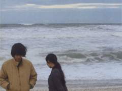 그림 같은 집은 짓지 못하지만