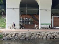 [햄터] 06/08 꿈을 얘기해 봐요