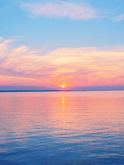 [하이큐] 늙은 장미와 움