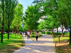 230605 경의선숲길과 도깨비커피집