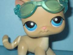 쌍수 자세한 상담후기(두군데)+병원정보