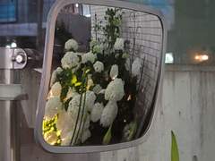 D+106 제 과거가 궁금하세요?