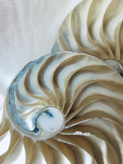 열심히 하고싶으니까 시리즈