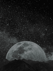 만약에 OO이었다면?