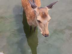 [DAY 54] 이게 나라냐?