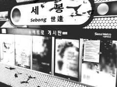 ■■을 찾습니다