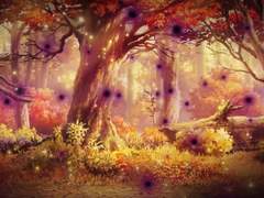 [오베구다]가을숲에서 너와함께