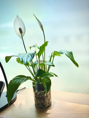 지극히 사적인 수다