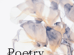 바다에 갔어, 나는