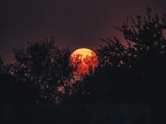 좀아포틴) 나는 죽지 않는다. 17