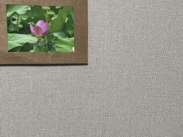 시인에서 소년으로