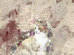 자유가 주는 것은 '존재의 깨어 있음' 뿐