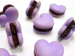 두유럽미 J (완)