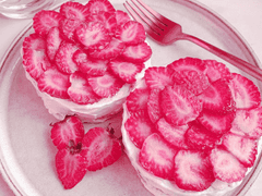 유메카와 치요 20 XX