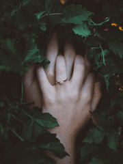 오직 사랑만이,