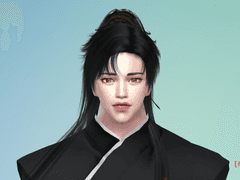 [검검/쌍존] 매화검존 & 화산검협 & 암존당보