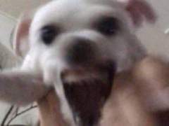 악인 18명의 문단속 3 인기남돌 슬라임 저격사건의 전말 (3)