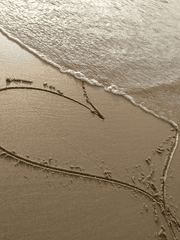 사랑했고 지금'은' 사랑해