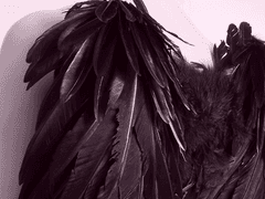 [날갯점과 로봇] 읽을 필요 없는 네 명 혹은 세 명