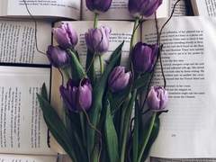 You are my everything