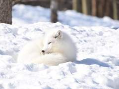 문체 확인용 샘플