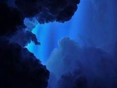 권이서 (미확정)