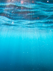 원피스 2차 창작