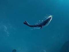 '바다'를 사랑한 고래