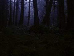 <호러게임> 캐들로 드림