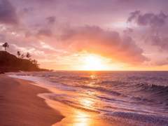 금빛 수평선 너머