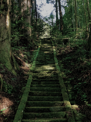 [료미츠/태섭대만] 여인아