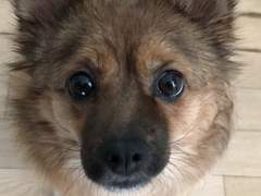 의심없는 무조건적인 사랑이 날 미치게 해