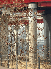 애인 대행 서비스