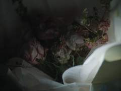 [은탁아름] 마른 꽃은 바스라진다.