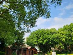 집 나가면 개고생