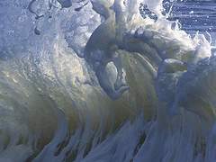 뭐야 하비비 또 진슙합작 참여했어?