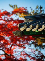 [마크] 동양풍 사극물 세계에서 환생한 Cameo