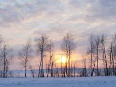 아침 해가 뜬다.