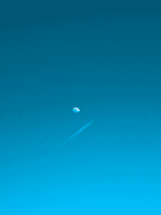 글로리아 스미스