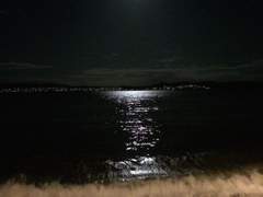 태웅대만) Dreaming of you