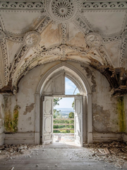 주인공이 신이 된 세계