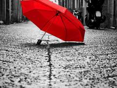 해줄 수 없는 일