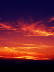 좀비가 나타난 세상에도 사랑은 있다.