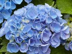 태웅대만) Dreaming of you