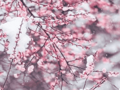 생물이 느낄 수 있는 감정 중 가장 역사가 깊고 가장 강력한 것.