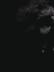 [BL] 귀멸의 칼날 드림 단편 모음