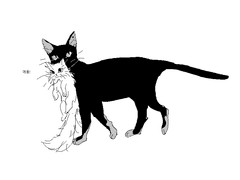 [x]당신의 캐릭터가 동물화 당할수 있으니 조심하세요