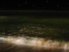 초여름의 새벽 1